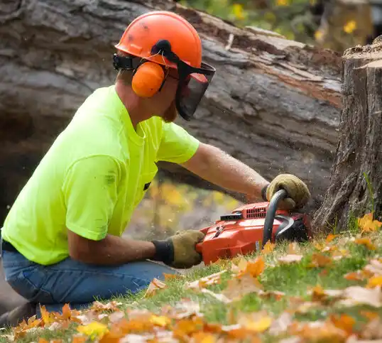 tree services Cass City